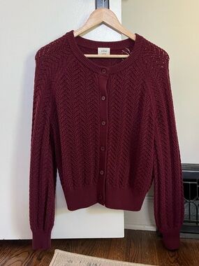 Wilfred Merino Wool Cardigan